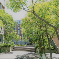 九州国際大学のオープンキャンパス