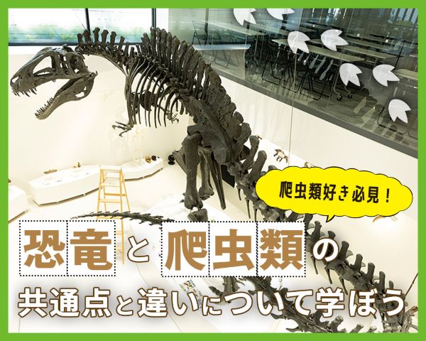ＴＣＡ東京ＥＣＯ動物海洋専門学校のオープンキャンパス