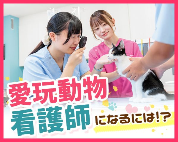 TCA東京ECO動物海洋専門学校