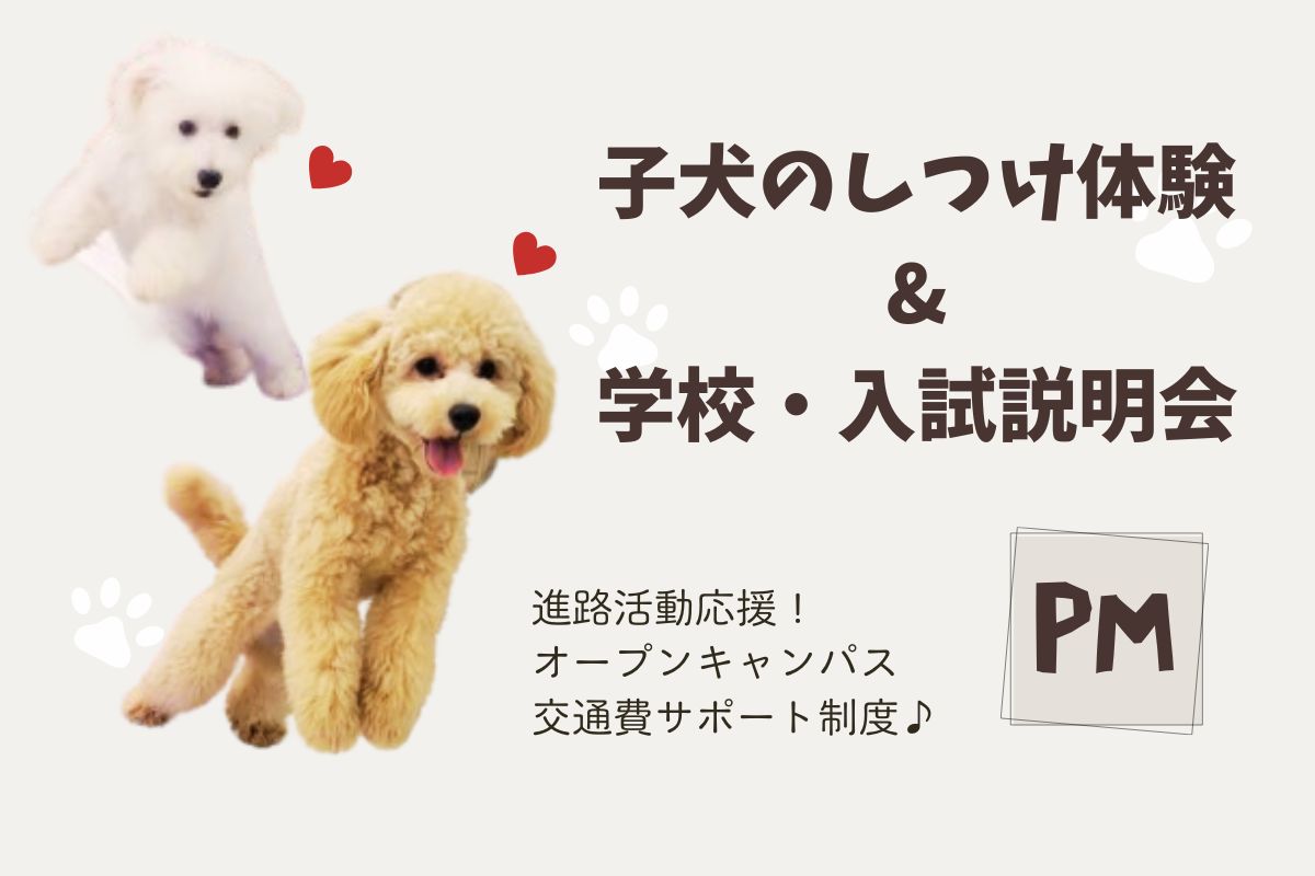 横浜動物専門学校のオープンキャンパス
