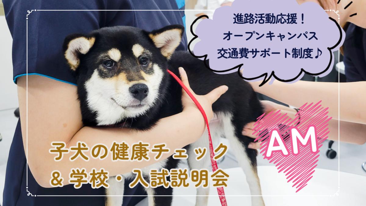 横浜動物専門学校