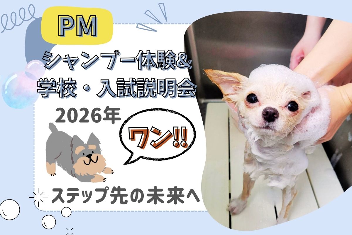 横浜動物専門学校のcampusgallery