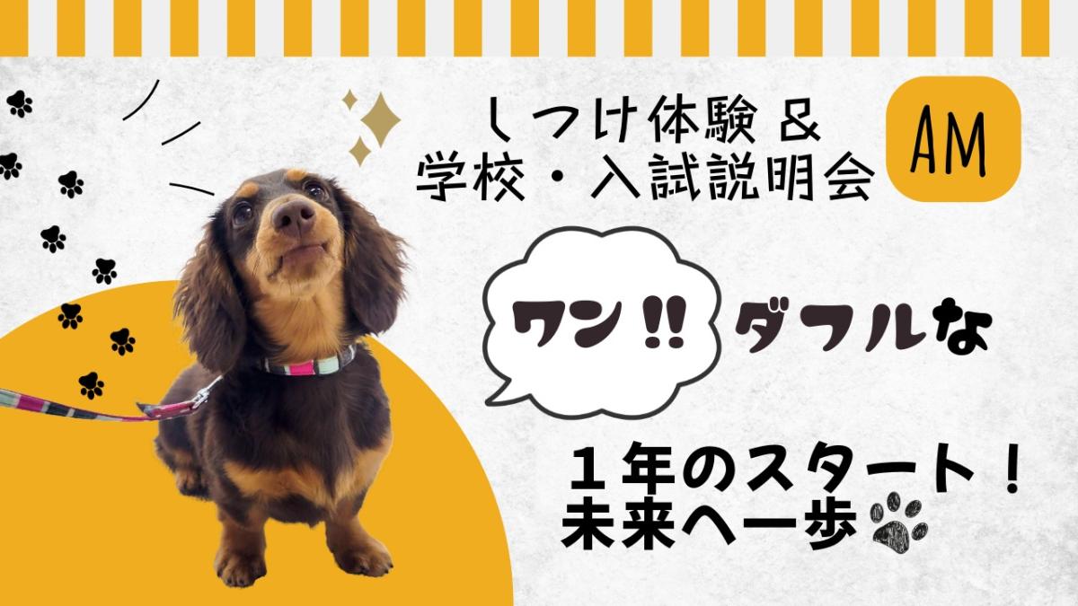 横浜動物専門学校のcampusgallery