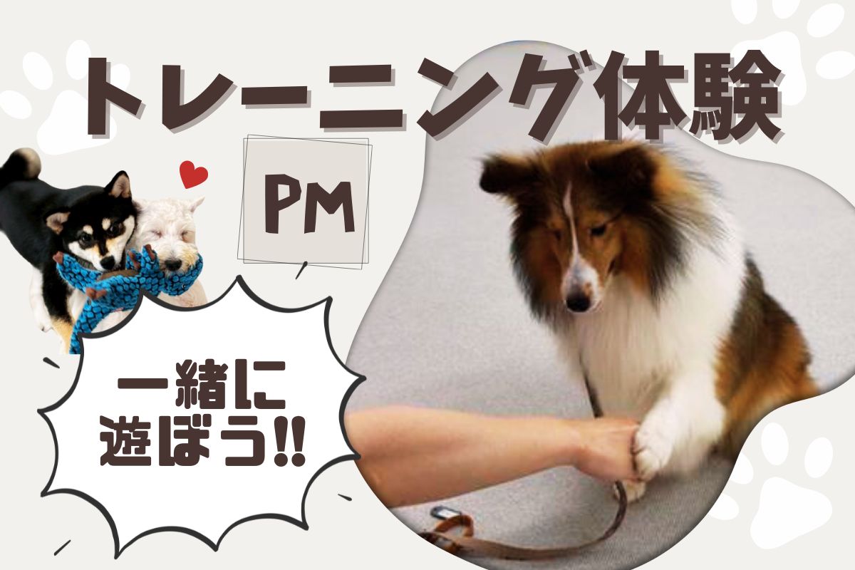 横浜動物専門学校