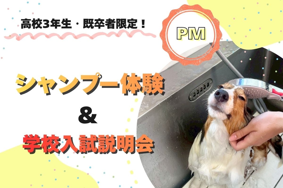 横浜動物専門学校のcampusgallery