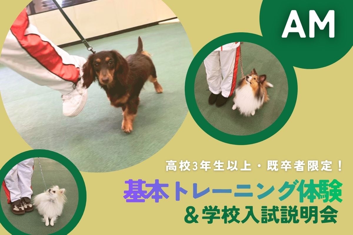 横浜動物専門学校のオープンキャンパス