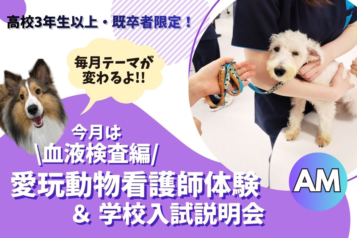 横浜動物専門学校のcampusgallery