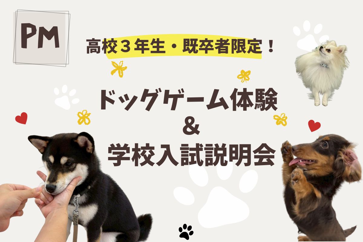 横浜動物専門学校のcampusgallery