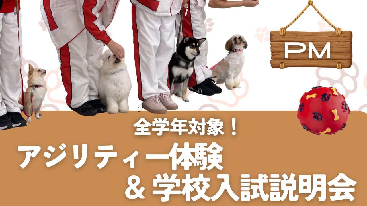 横浜動物専門学校のcampusgallery