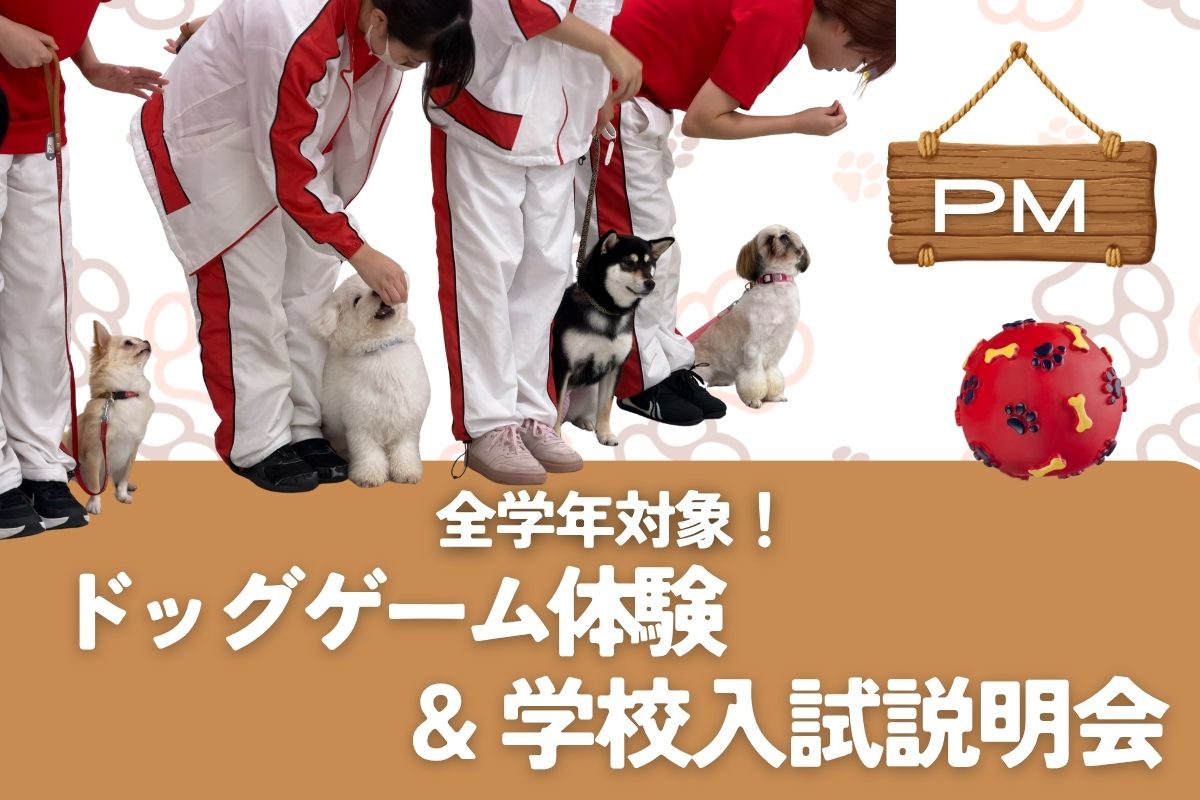横浜動物専門学校のcampusgallery