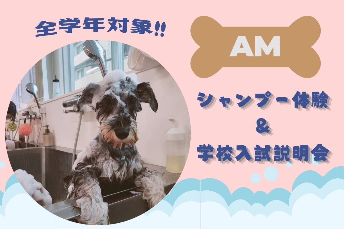 横浜動物専門学校のcampusgallery
