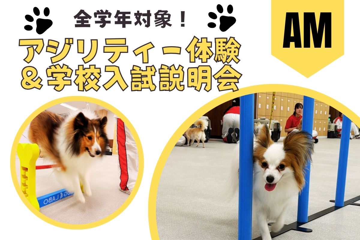 横浜動物専門学校のcampusgallery