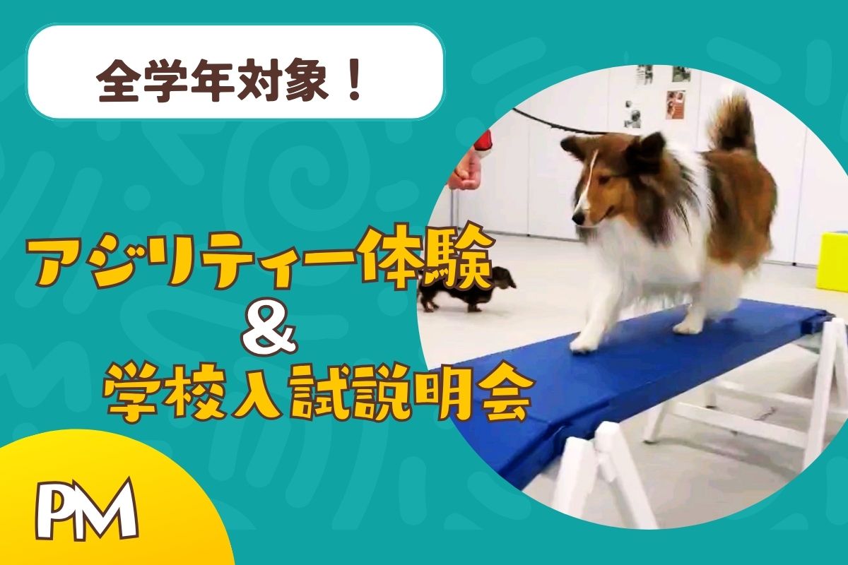 横浜動物専門学校のcampusgallery