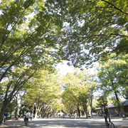 東海大学のオープンキャンパス