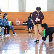 ヤマザキ動物看護大学のオープンキャンパス