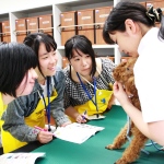 ヤマザキ動物専門学校