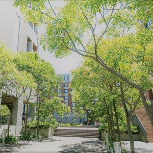 九州国際大学のcampusgallery