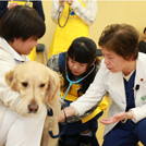 ヤマザキ動物看護専門職短期大学のcampusgallery