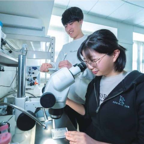 研究・授業内容写真