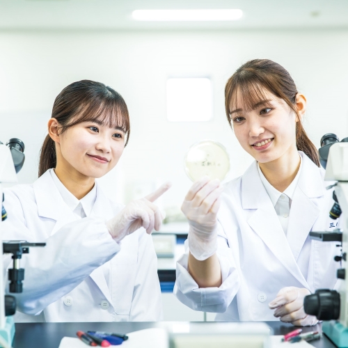国際医療福祉大学