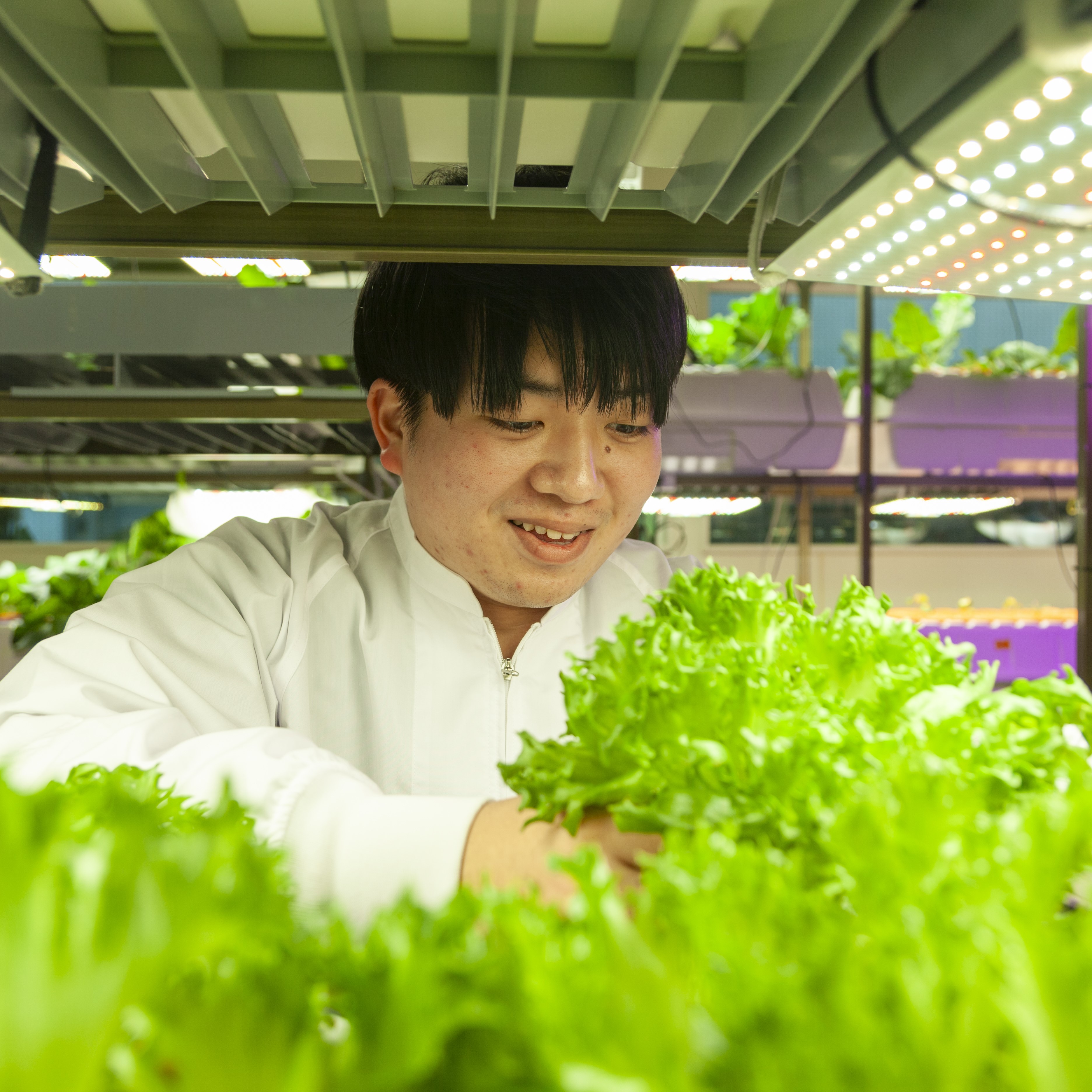 愛甲農業科学専門学校
