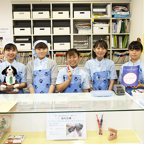 ヤマザキ動物看護専門職短期大学