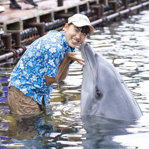 ＴＣＡ東京ＥＣＯ動物海洋専門学校1
