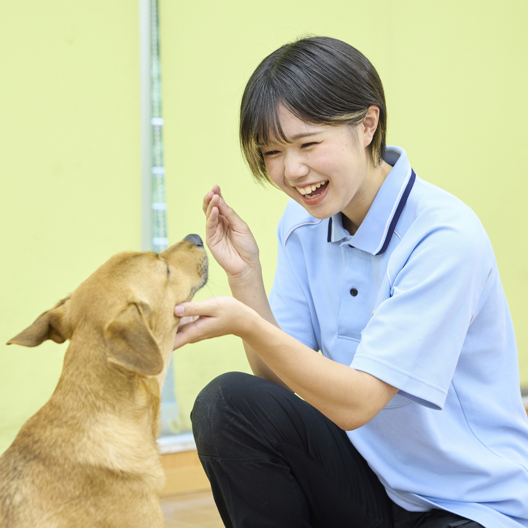 国際動物専門学校3