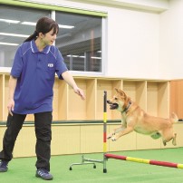 国際動物専門学校のオープンキャンパス