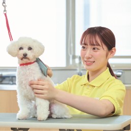 国際動物専門学校のオープンキャンパス