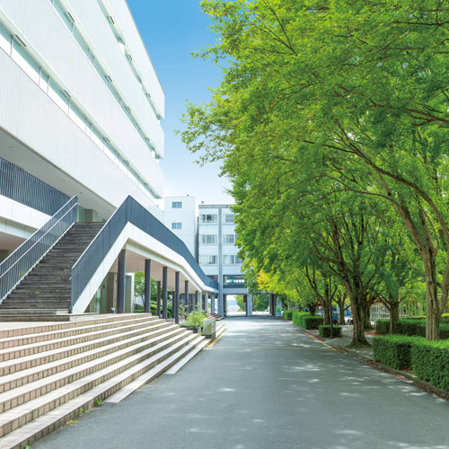 中部大学