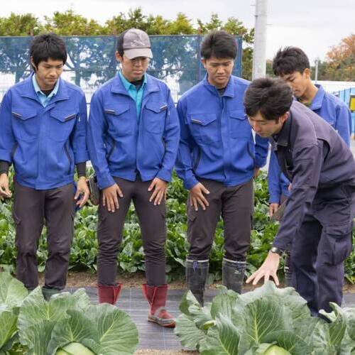 タキイ研究農場付属園芸専門学校2