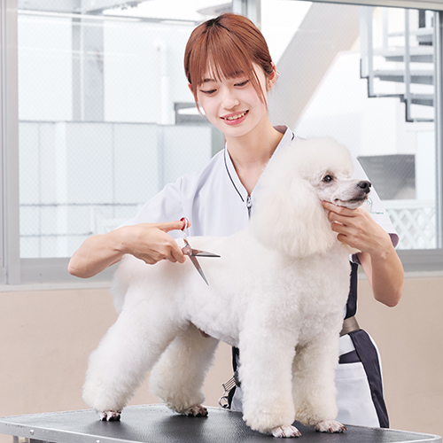 中央動物専門学校2