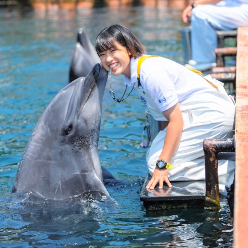 福岡ＥＣＯ動物海洋専門学校2