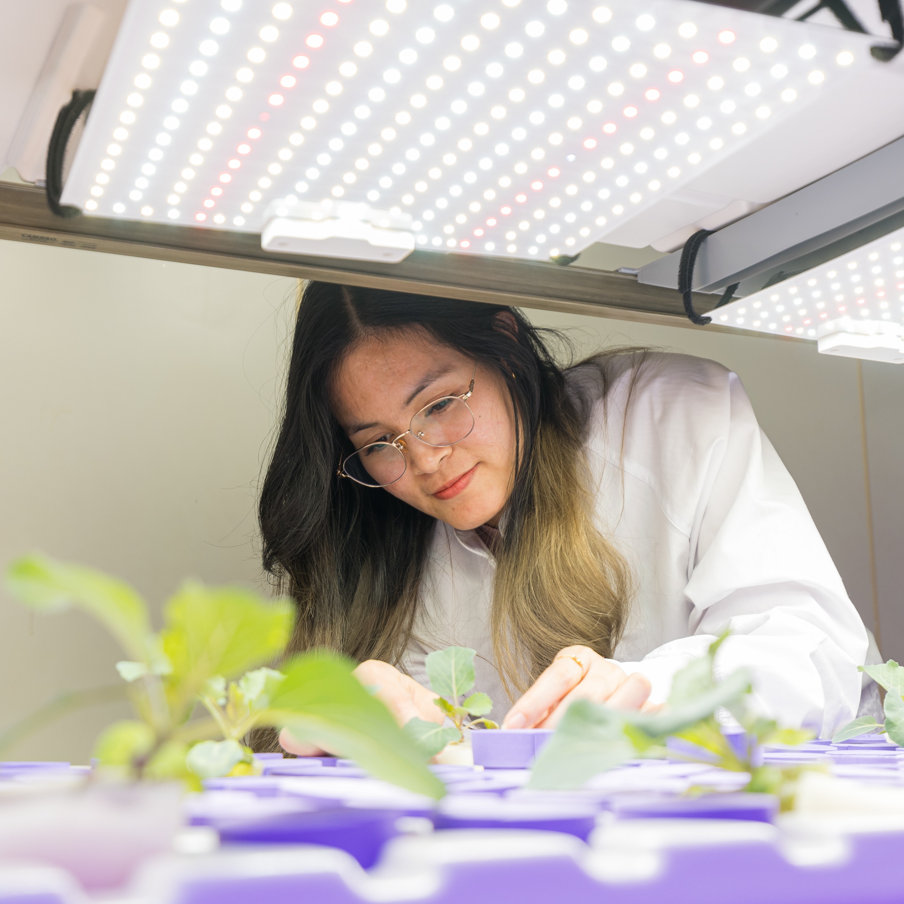 愛甲農業科学専門学校