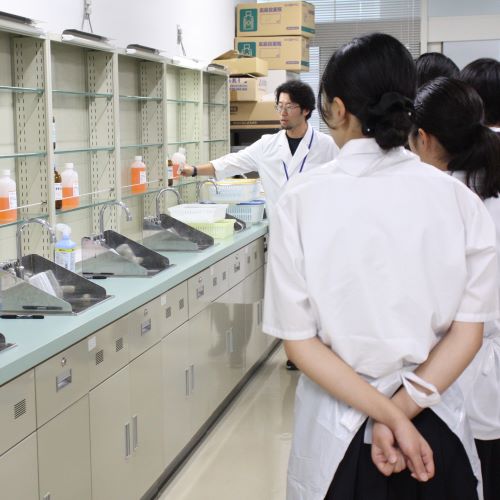 特長から学校を探す_明治薬科大学