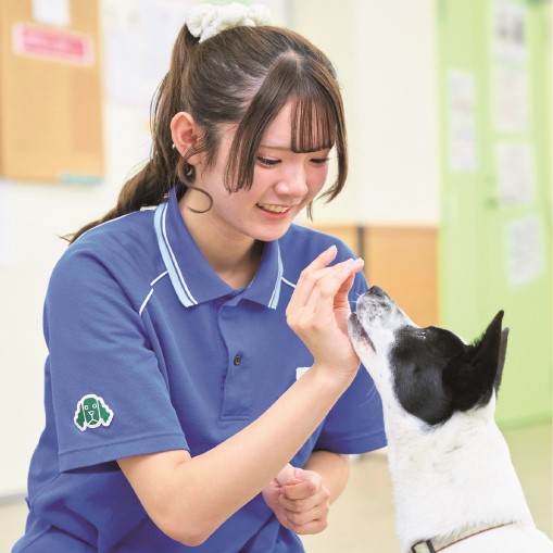 国際動物専門学校