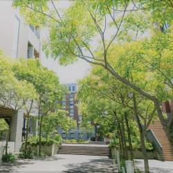 九州国際大学のオープンキャンパス詳細