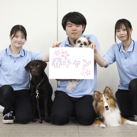 大宮国際動物専門学校