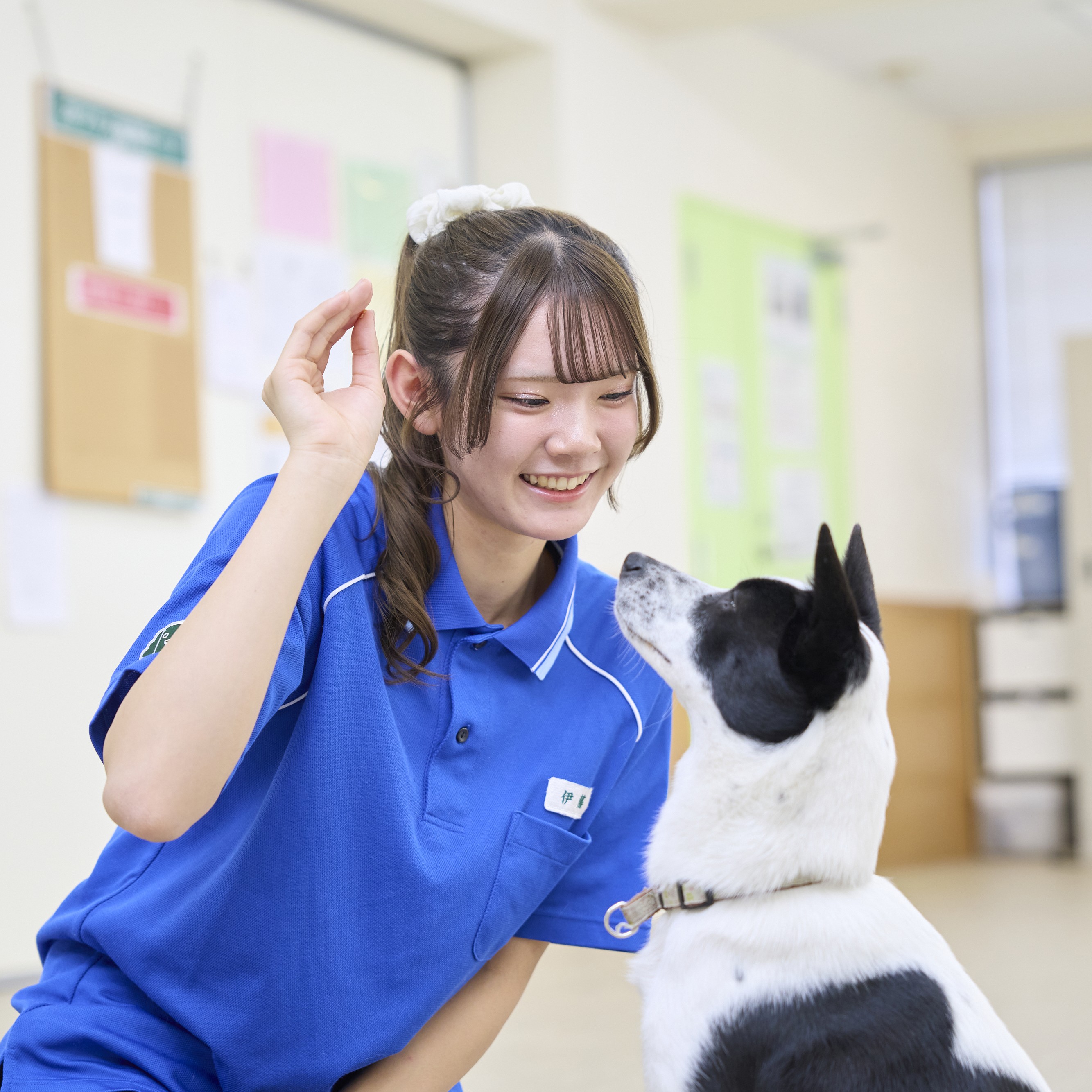 大宮国際動物専門学校