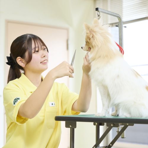 大宮国際動物専門学校