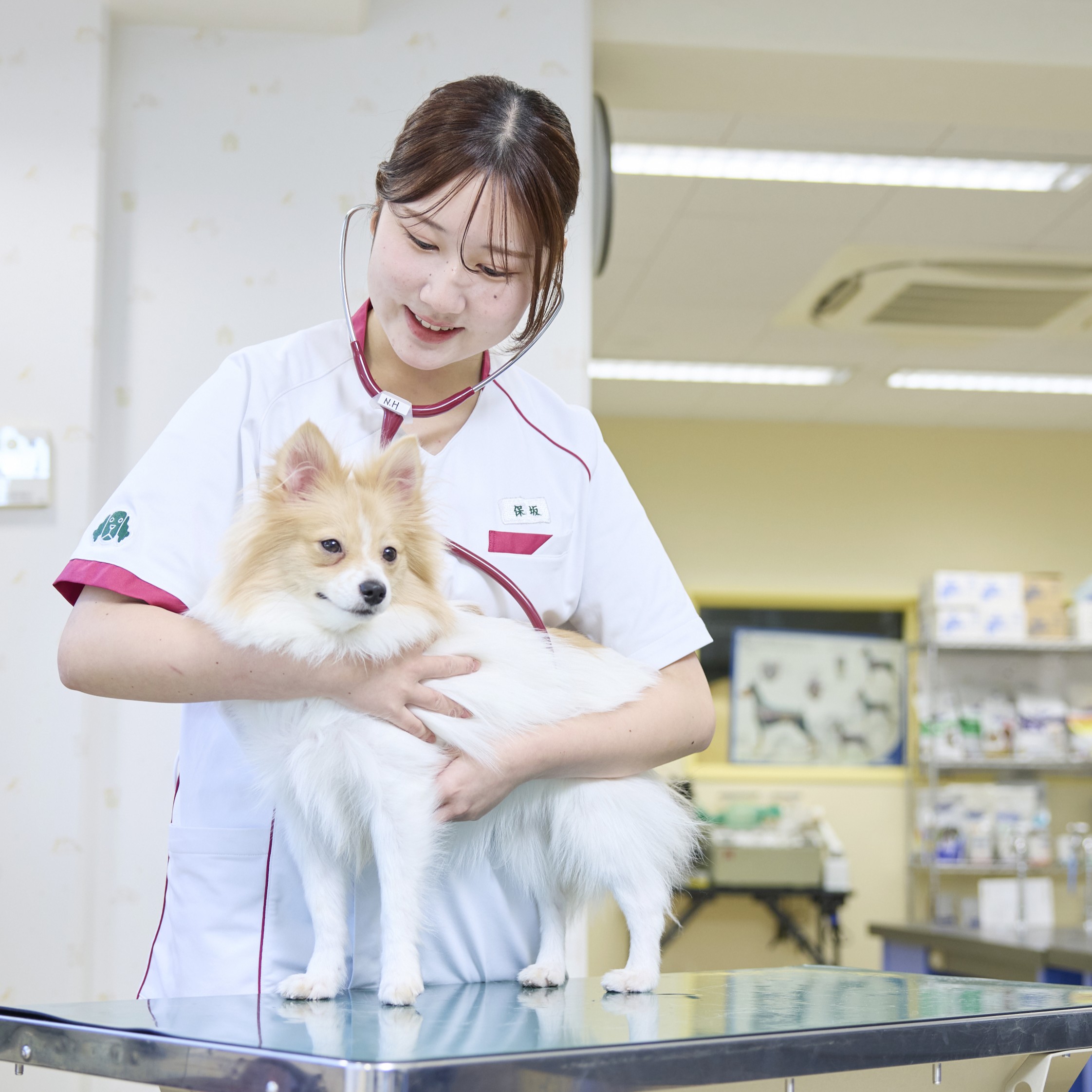大宮国際動物専門学校