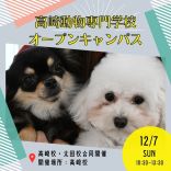 高崎動物専門学校