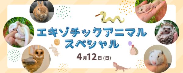 群馬動物専門学校