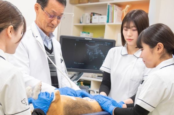 群馬動物専門学校
