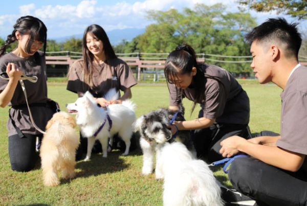 群馬動物専門学校