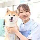 ヤマザキ動物看護大学