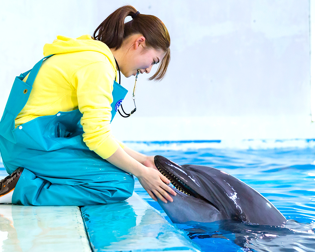 目指せドルフィントレーナー／大阪ＥＣＯ動物海洋専門学校