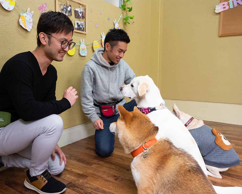 ドッグトレーナーのお仕事体験＜家庭犬＞／大阪ＥＣＯ動物海洋専門学校