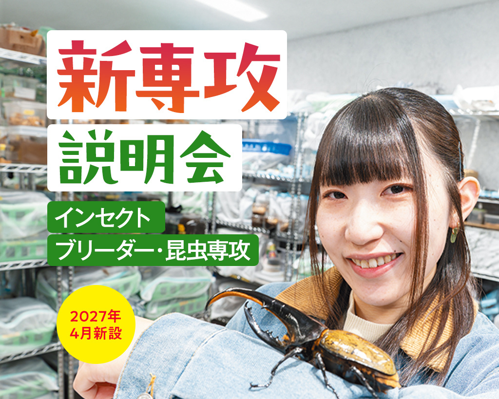 新専攻説明会【インセクトブリーダー・昆虫専攻】／大阪ＥＣＯ動物海洋専門学校